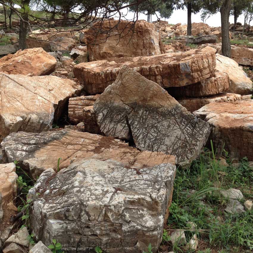 武汉景观石龟纹石草坪石5000多块 雅轩奇石龟纹石