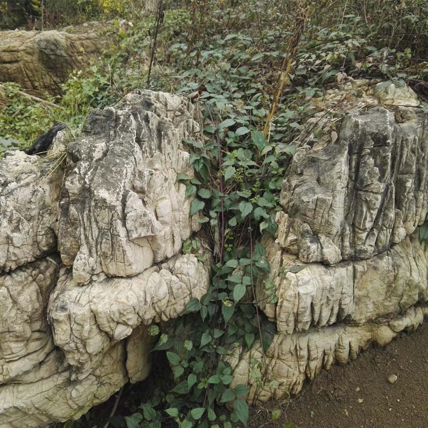 武汉景观石龟纹石草坪石5000多块 雅轩奇石龟纹石