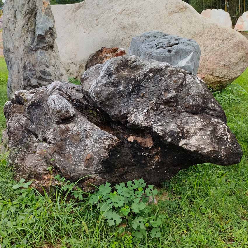 武汉景观石龟纹石草坪石5000多块 雅轩奇石龟纹石