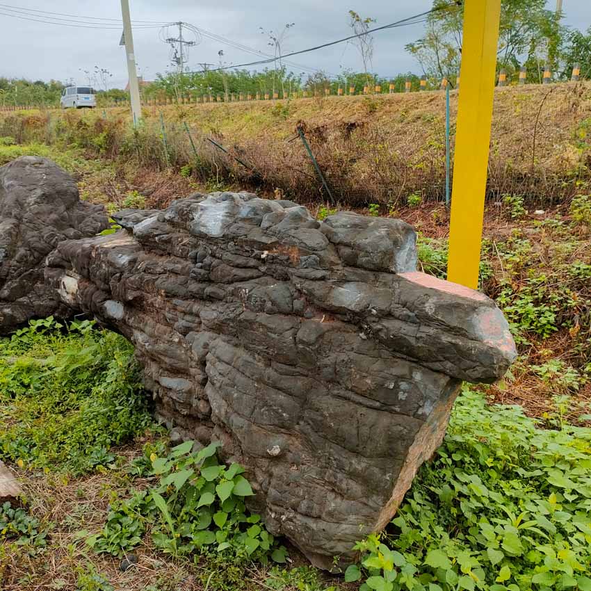 武汉景观石龟纹石草坪石5000多块 雅轩奇石龟纹石