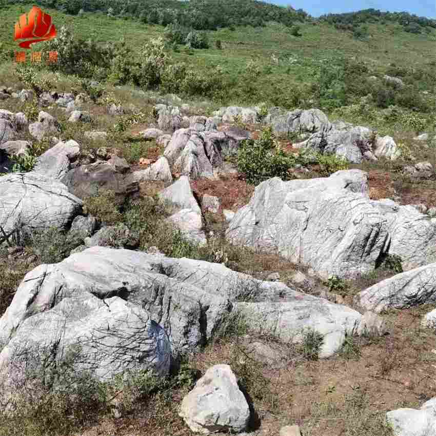 武汉景观石龟纹石草坪石5000多块 雅轩奇石龟纹石