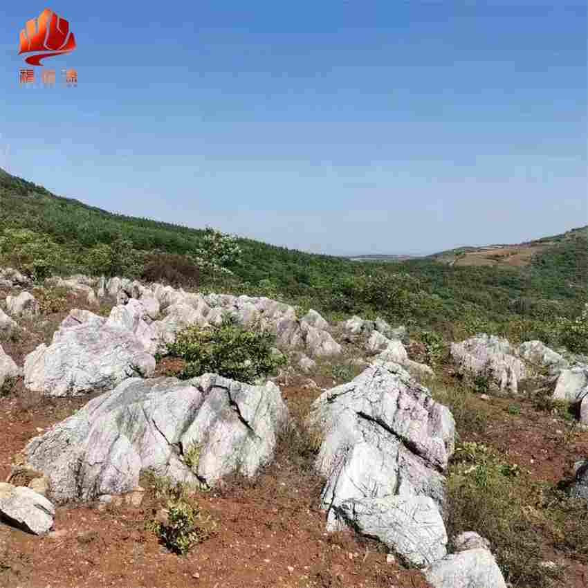 武汉景观石龟纹石草坪石5000多块 雅轩奇石龟纹石