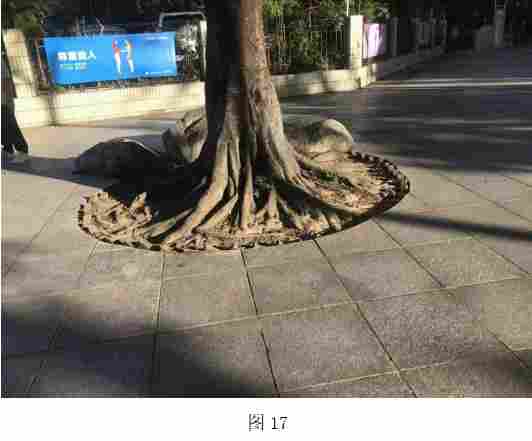 你知道天安门广场的石材多厚吗？