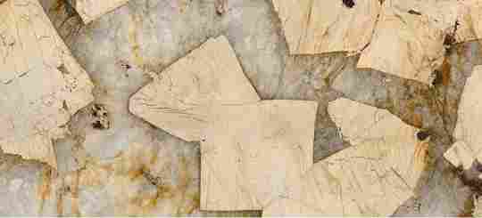 微信图片_20250723144245.png 微信图片_20250723144245.png