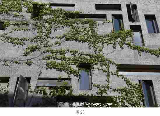 微信图片_20250719114433.png 自然、质朴的效果,让石材回归自然