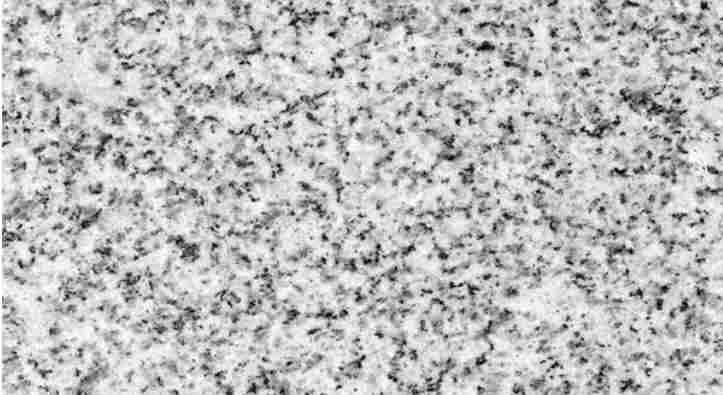 微信图片_20250522144636.png 微信图片_20250522144636.png