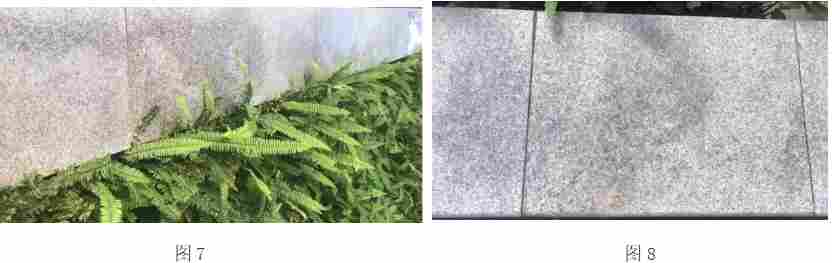 水迹与水斑有差别，如何判断和处理？