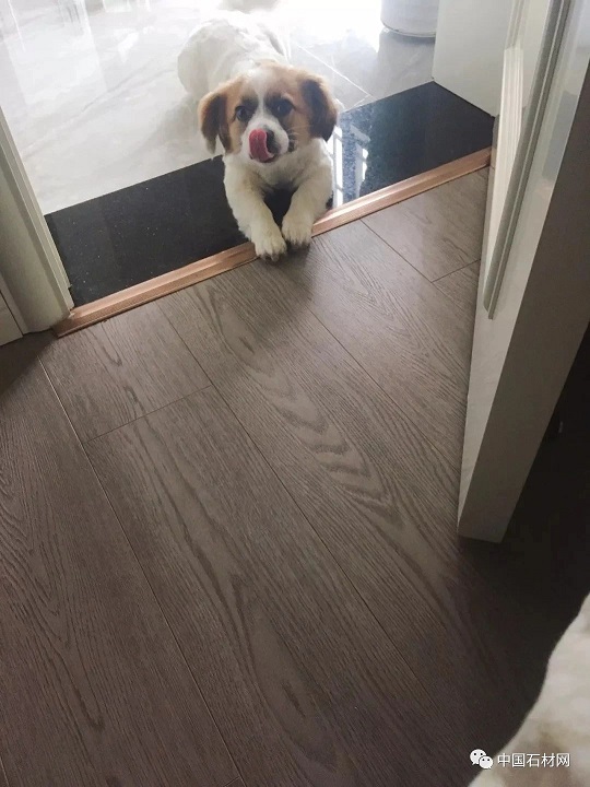 微信图片_20240913145705.jpg 分享几种不同区域门槛石+压边条的搭配