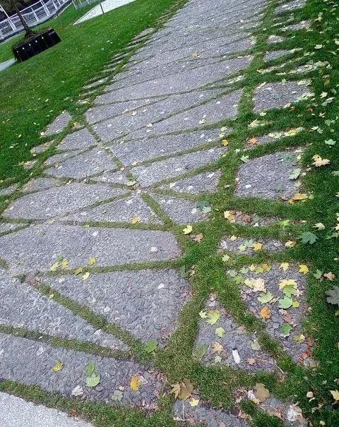 微信图片_20240712144527.jpg 石材碎拼,打破常规的铺装之美