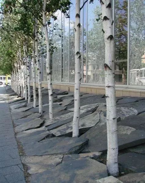 微信图片_20240712144540.jpg 石材碎拼,打破常规的铺装之美