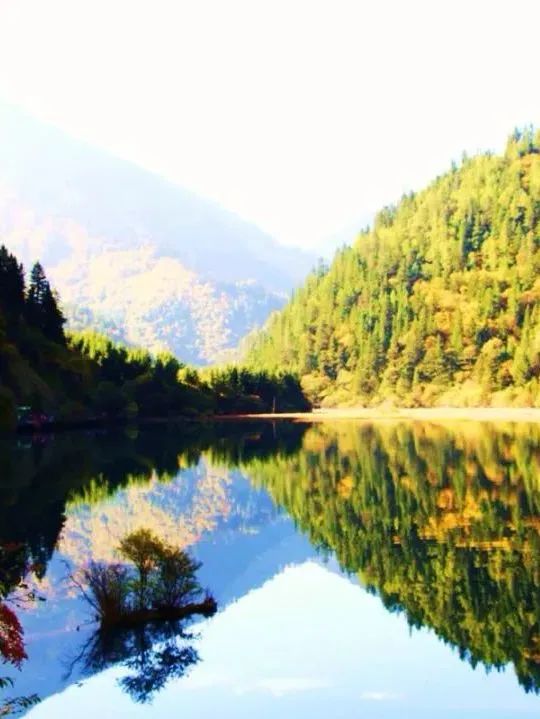 微信图片_20240428143205.jpg 微信图片_20240428143205.jpg