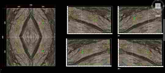 640 (8).png 奢华浪漫的威尼斯棕大理石在家装中可以这样设计