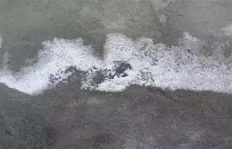 微信图片_20231211144313.jpg 微信图片_20231211144313.jpg