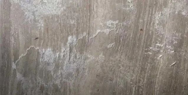 微信图片_20231211144318.jpg 微信图片_20231211144318.jpg