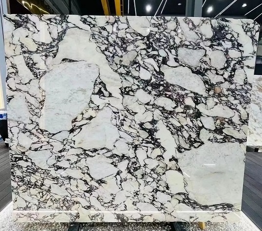 微信图片_20231024145556.jpg 微信图片_20231024145556.jpg