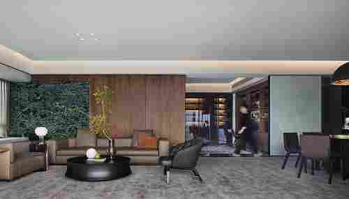 普拉达绿为什么如此受欢迎？