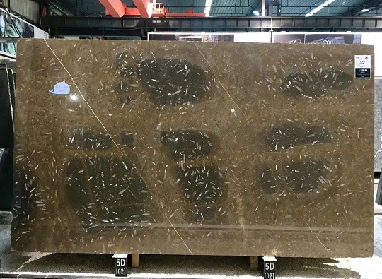 这些石材里面都有化石，原来化石离我们那么近