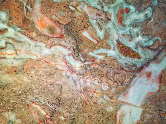 这些石材里面都有化石，原来化石离我们那么近