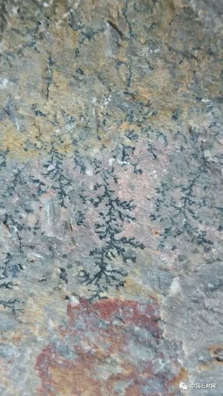 640 (1).jpg 640 (1).jpg