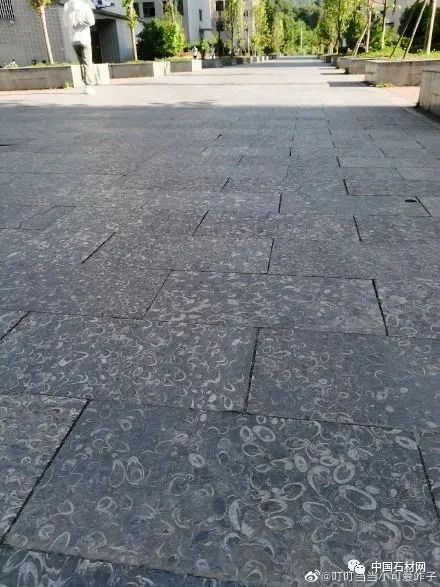 640 (6).jpg 640 (6).jpg