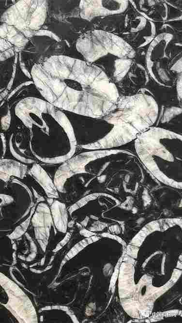 640 (2).png 640 (2).png