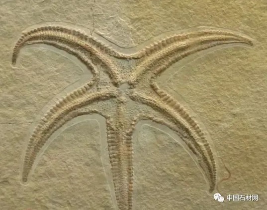 640 (13).jpg 640 (13).jpg