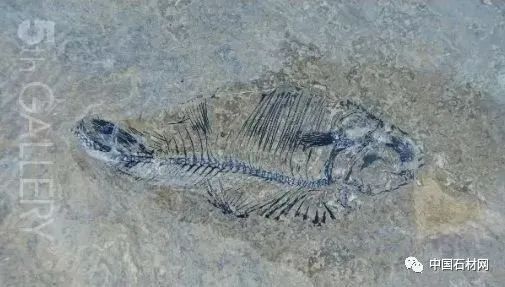 640 (14).jpg 640 (14).jpg