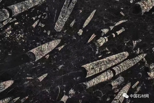 640 (17).jpg 640 (17).jpg