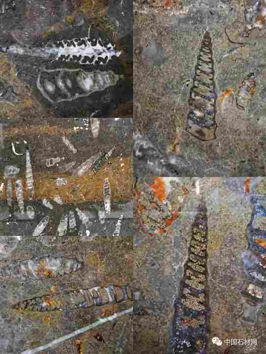 640 (19).jpg 640 (19).jpg