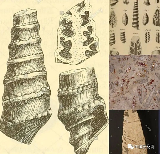 640 (20).jpg 640 (20).jpg