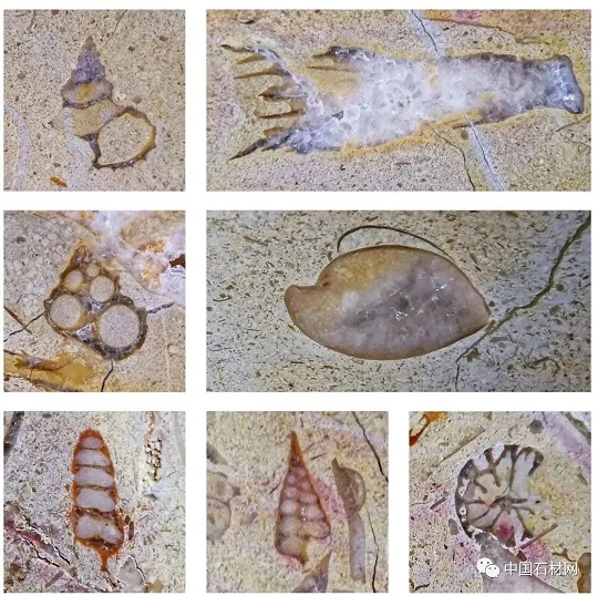 640 (22).jpg 640 (22).jpg