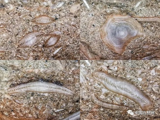 640 (26).jpg 640 (26).jpg