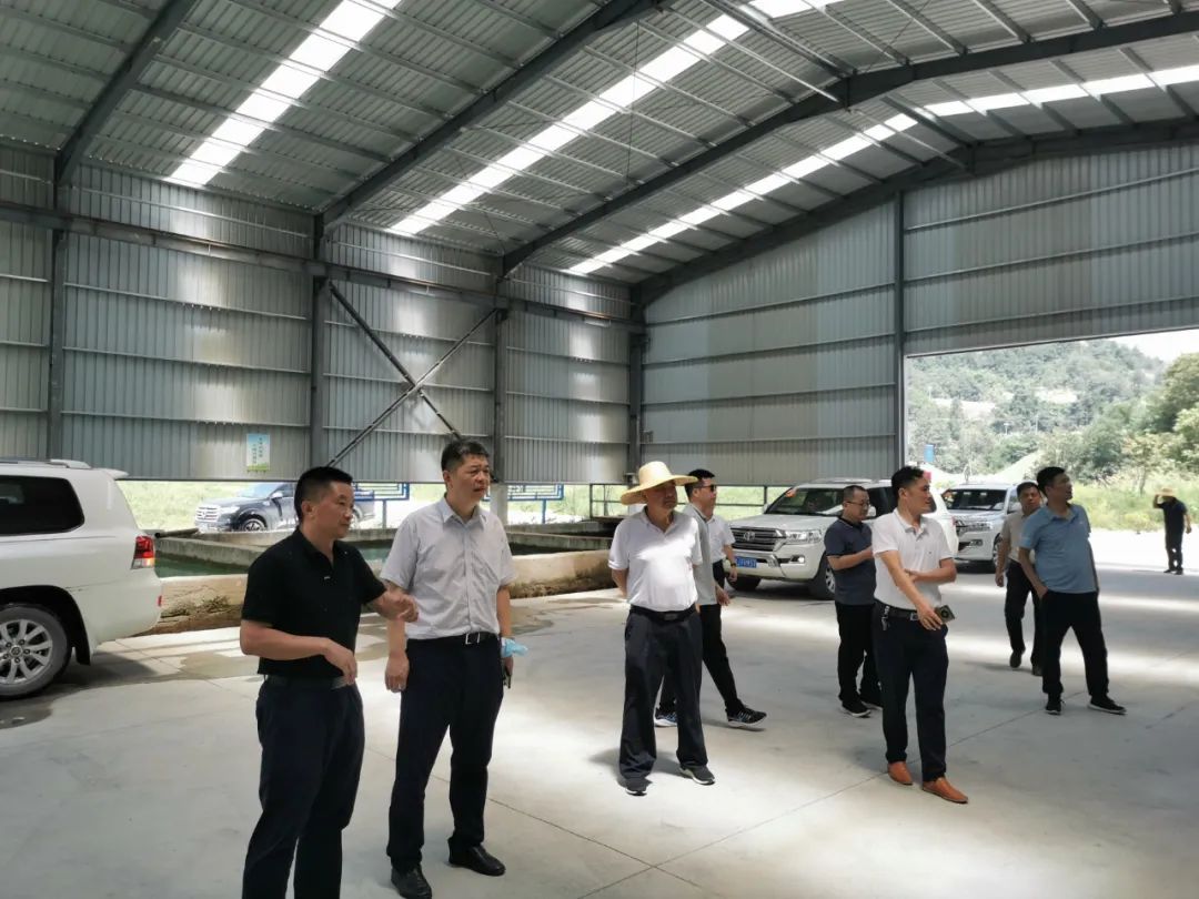 湖北省自然资源厅调研麻城市石材资源管理和中央环保督察反馈问题整改工作