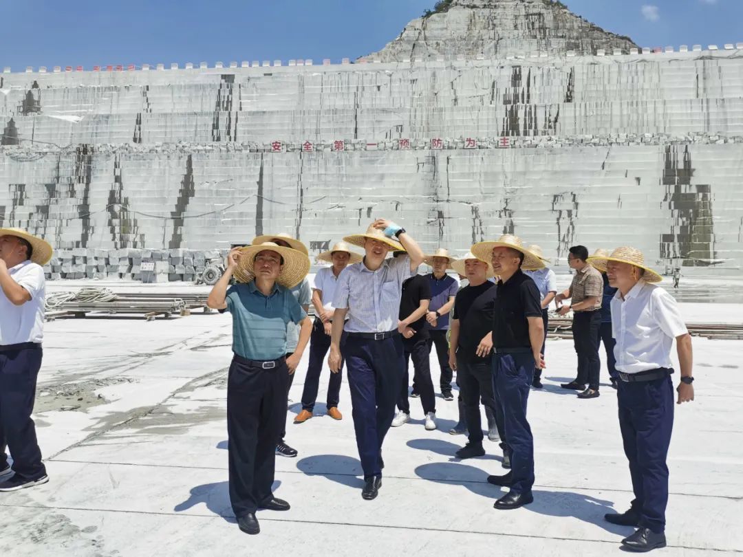 湖北省自然资源厅调研麻城市石材资源管理和中央环保督察反馈问题整改工作