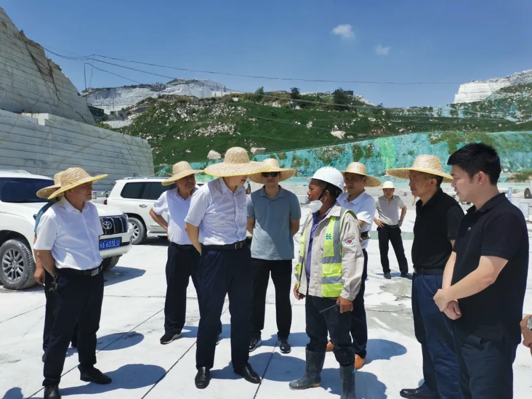 湖北省自然资源厅调研麻城市石材资源管理和中央环保督察反馈问题整改工作