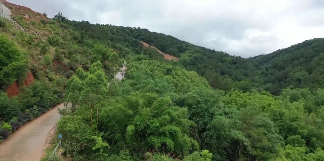 广西岑溪波塘镇：建设绿色矿山 不负绿水青山