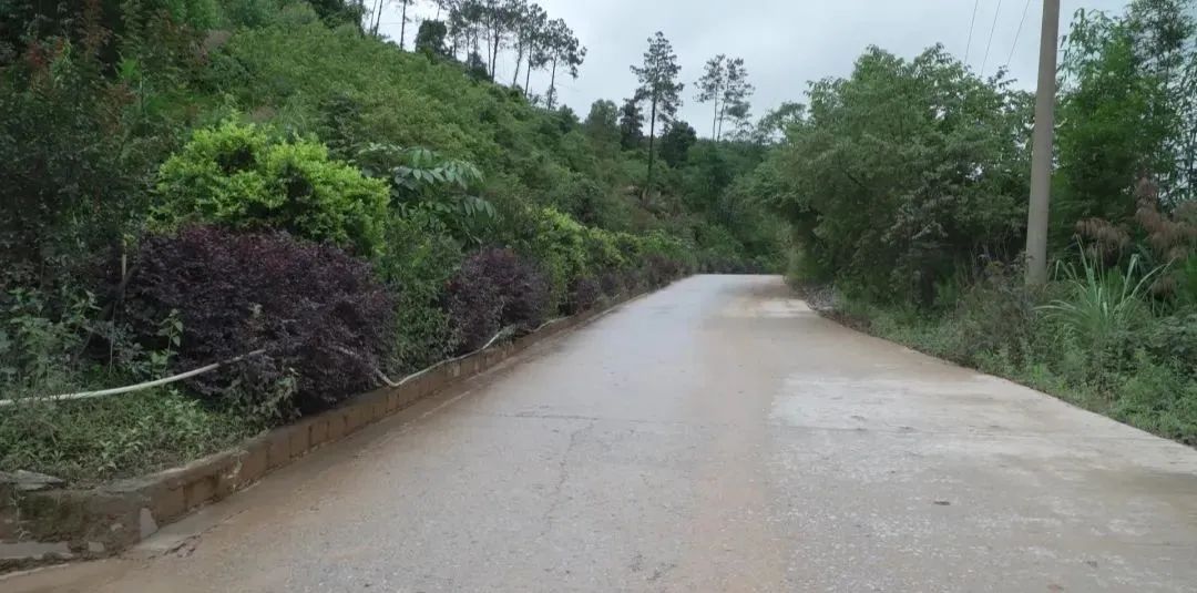 广西岑溪波塘镇：建设绿色矿山 不负绿水青山