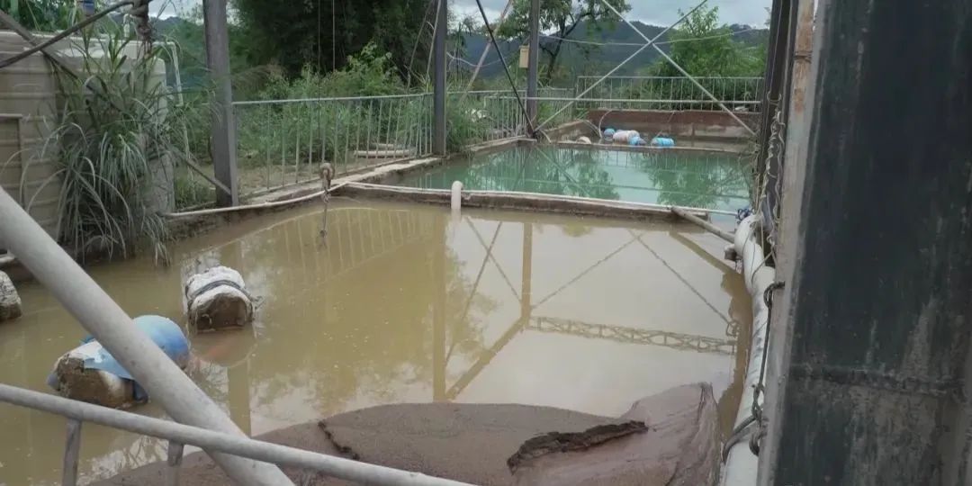 广西岑溪波塘镇：建设绿色矿山 不负绿水青山