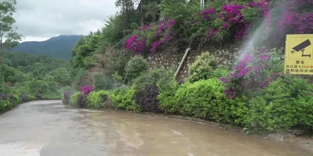 广西岑溪波塘镇：建设绿色矿山 不负绿水青山