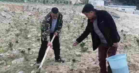 吴山镇开启新一轮“石材矿山生态修复补植补种”模式