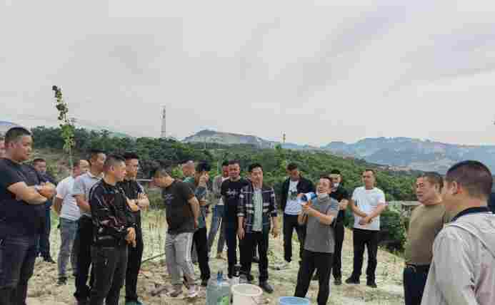 吴山镇开启新一轮“石材矿山生态修复补植补种”模式