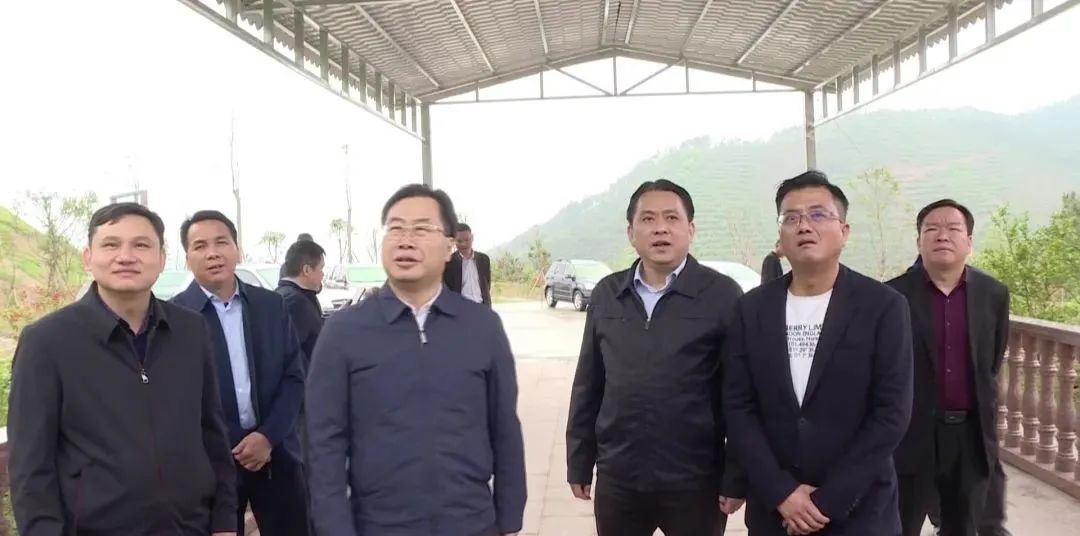 岑溪市调研中央环保督察反馈问题整改落实情况