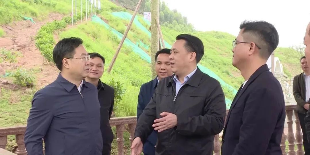 岑溪市调研中央环保督察反馈问题整改落实情况