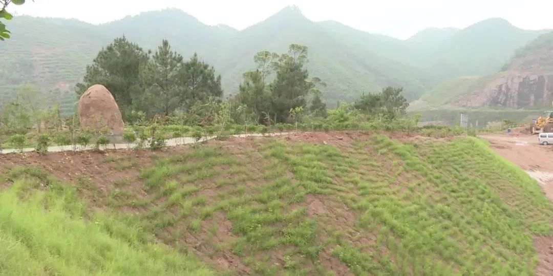 岑溪市调研中央环保督察反馈问题整改落实情况