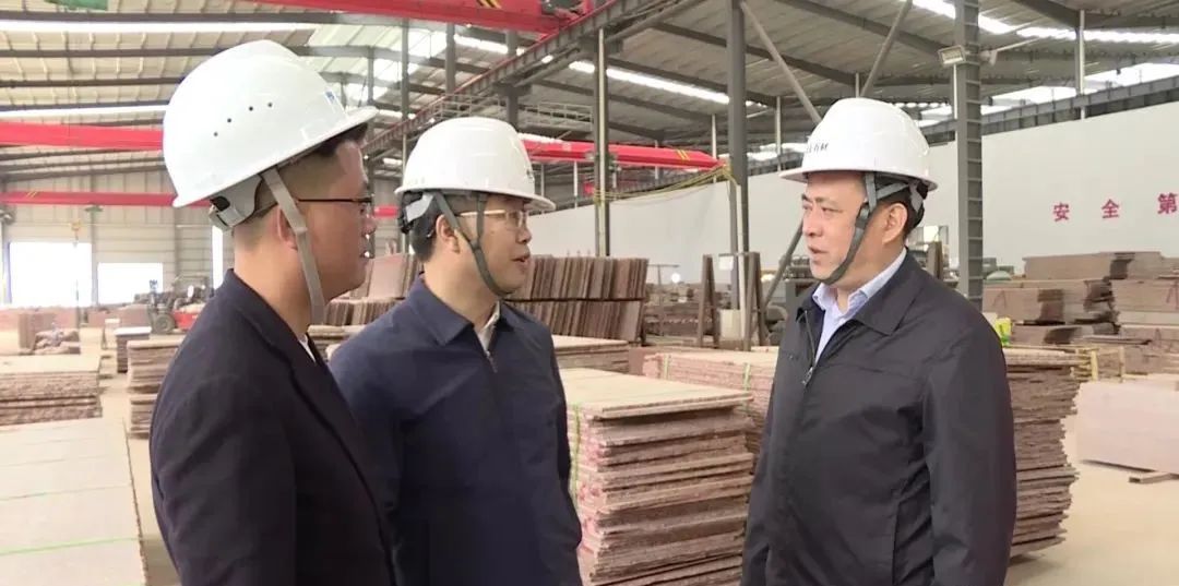 岑溪市调研中央环保督察反馈问题整改落实情况