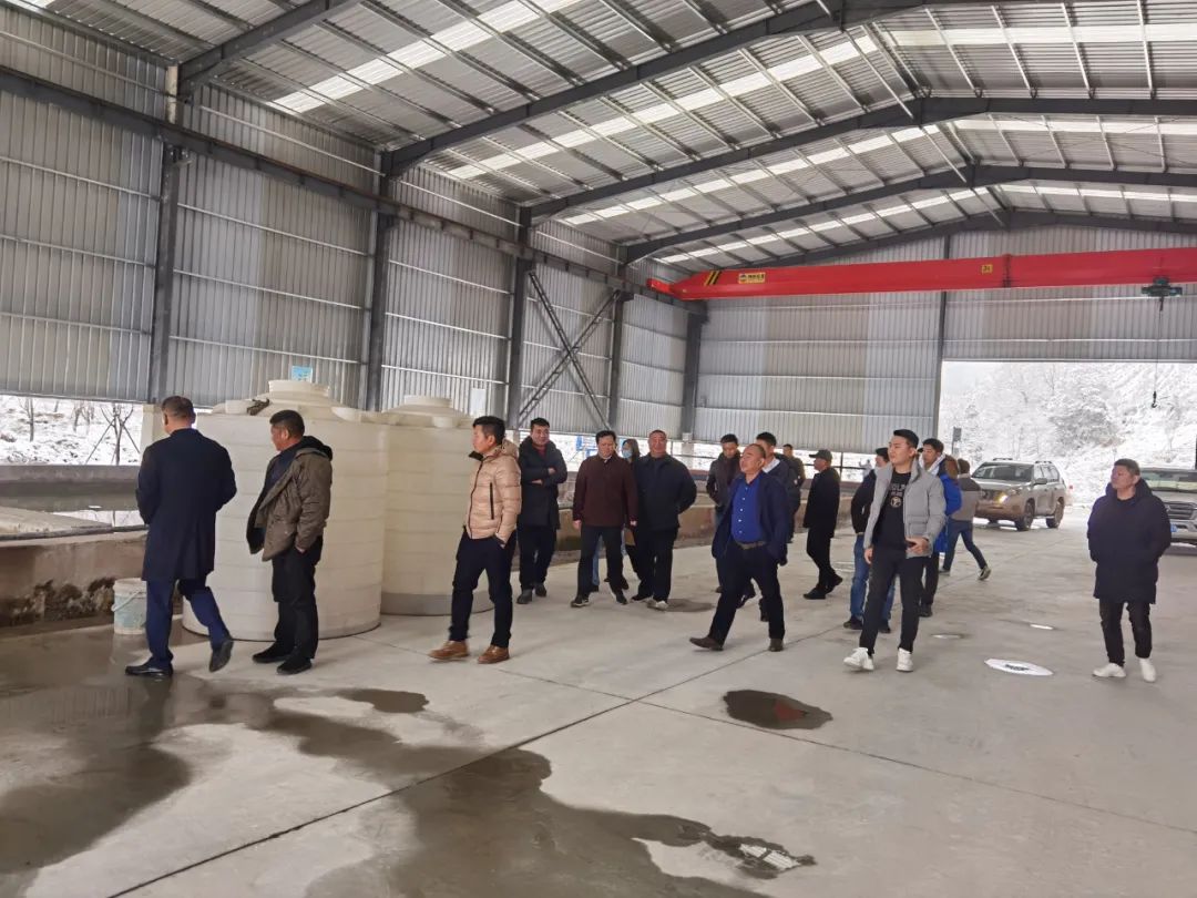 惠安石雕协会与麻城强强联合，看麻城全面开启新“石”代！