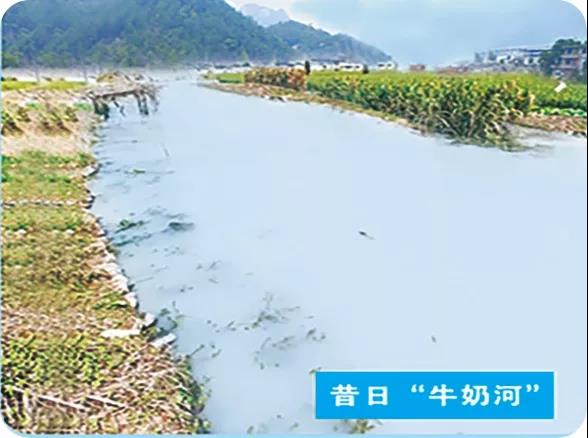 关闭开采点55个，关停青石板厂547家，看横塘如何践行“两山”理念