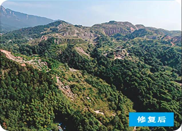 关闭开采点55个，关停青石板厂547家，看横塘如何践行“两山”理念