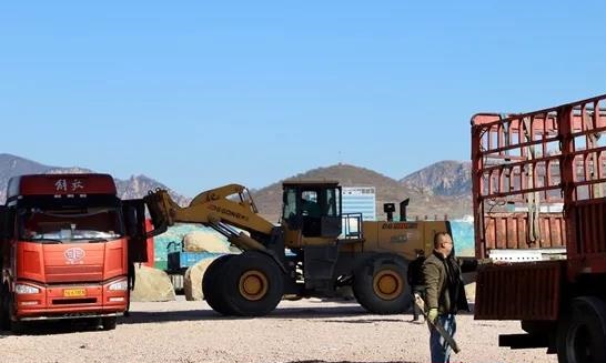 中国花岗岩看山东，山东花岗岩看五莲！中国花岗岩交易中心疫情过后高效运转！