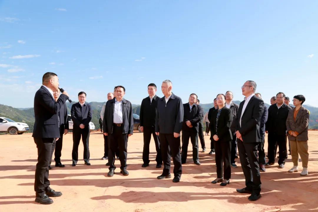 广西自治区副主席周成方一行莅临南部（岑溪）石材循环生态产业园调研！